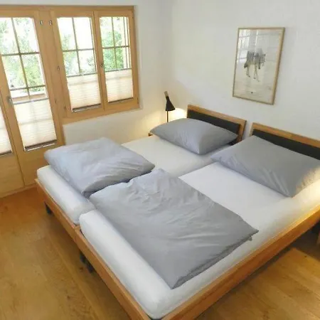 Saanen Sleeps 4 Wifi Διαμέρισμα *