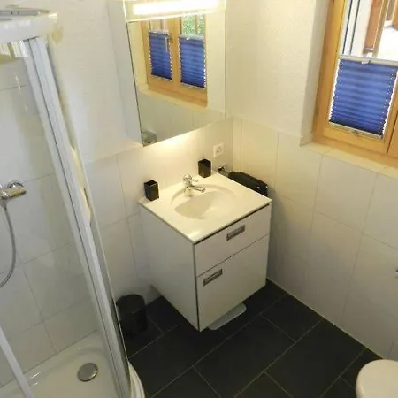 Διαμέρισμα Saanen Sleeps 4 Wifi Γκστάαντ