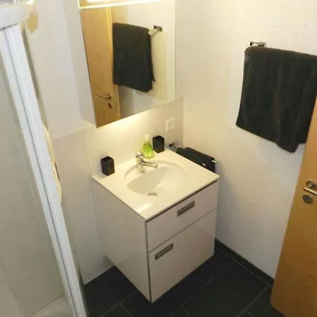 Saanen Sleeps 4 Wifi Διαμέρισμα